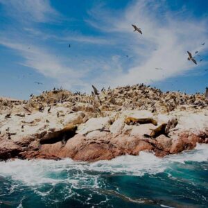 Islas Ballestas