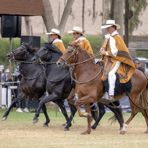 caballo de paso1
